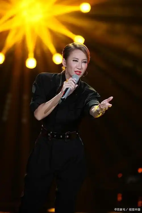 「我是歌手」总汇:四季冠军