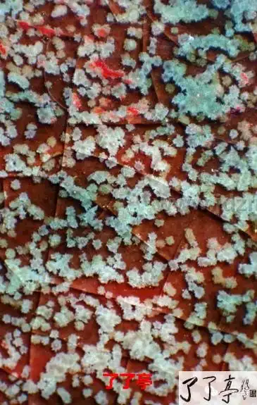 在微观的视角下看钧瓷