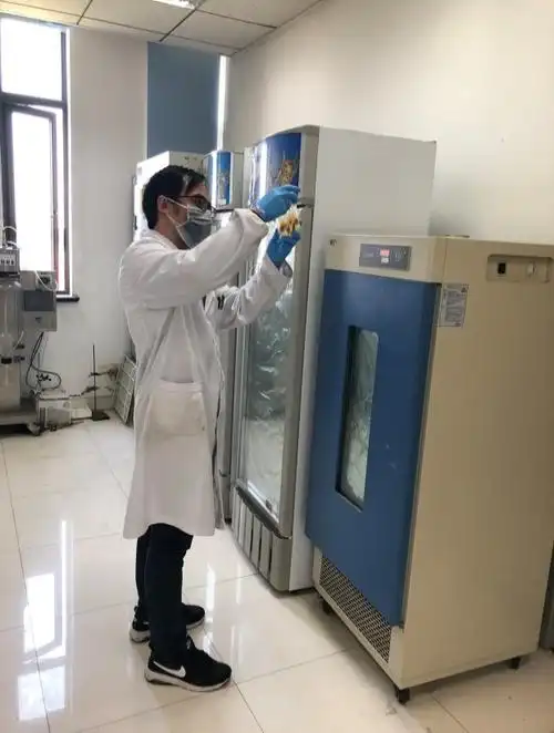 食用菌研究所有序恢复开展科研生产等全面工作