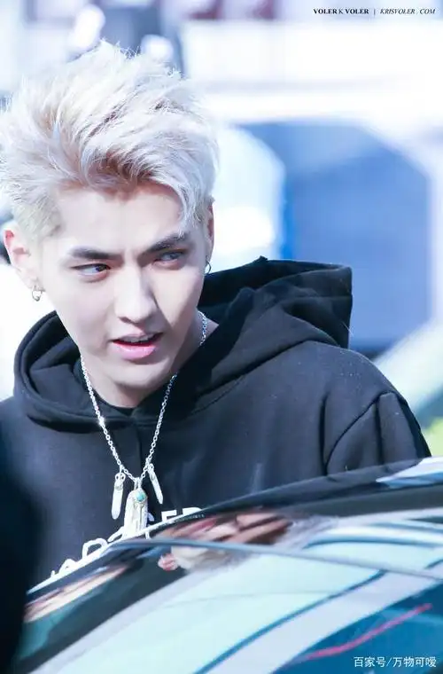 张艺兴,肖战,王一博,吴亦凡谁更适合银发造型