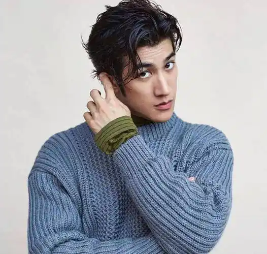 高个脸的男明星,我只服这3位!