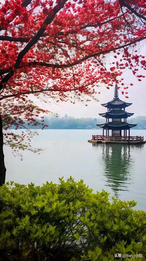 西湖美景,太漂亮了