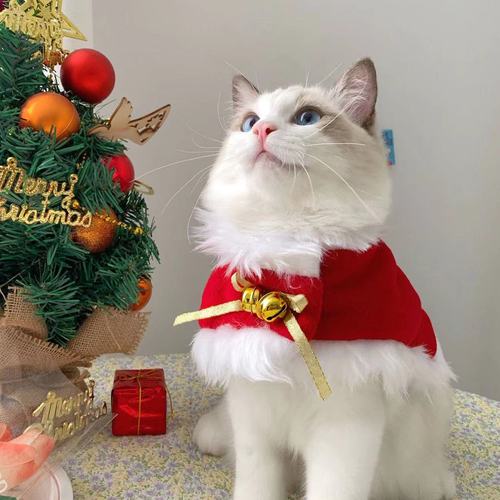 猫咪披风新年圣诞装衣服狗狗幼猫英短圣诞节铃铛围脖帽子头饰斗篷
