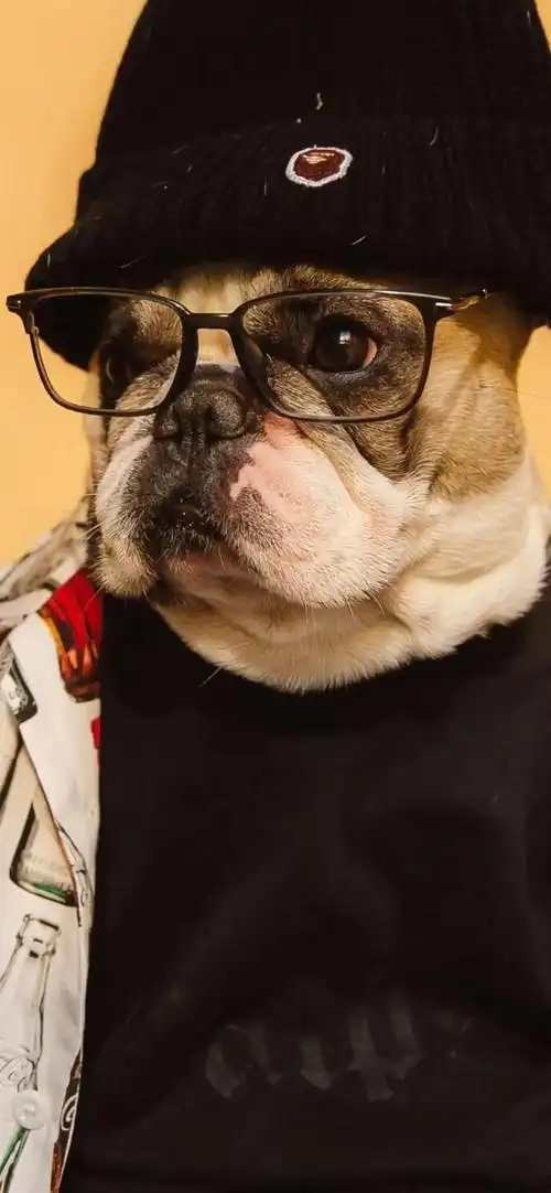 【超酷的全面屏壁纸】