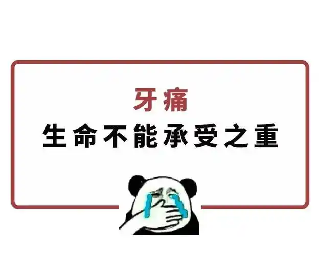 只有经历了牙痛才晓得人生没有过不去的坎