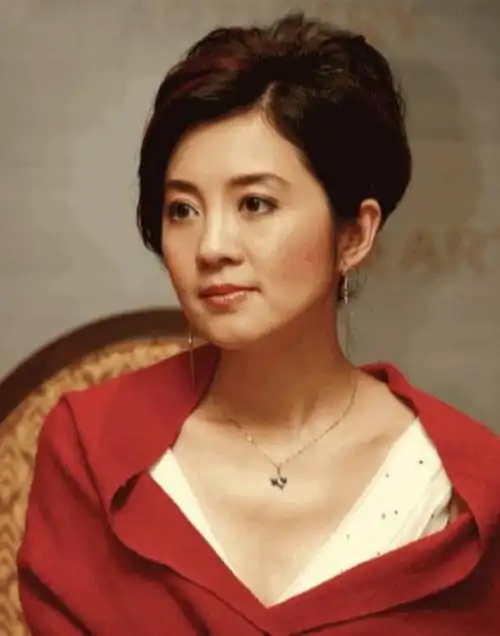 许戈辉:巅峰时离开央视,嫁二婚富商丁健,与丈夫前妻亲如姐妹