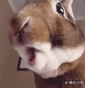 爆笑动态图:请严肃的看着我(第665期)