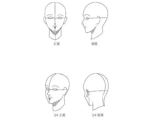 所以需要画出不同角度的人物形象,掌握好各个角度的人物头部结构以及