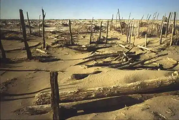 干涸60多年的罗布泊奇迹复活碧波荡漾的背后到底是不是好事