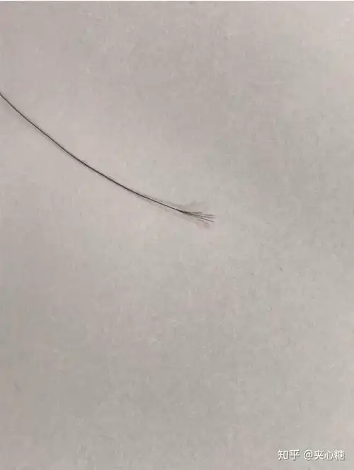 一根头发可以分叉成什么样? - 知乎