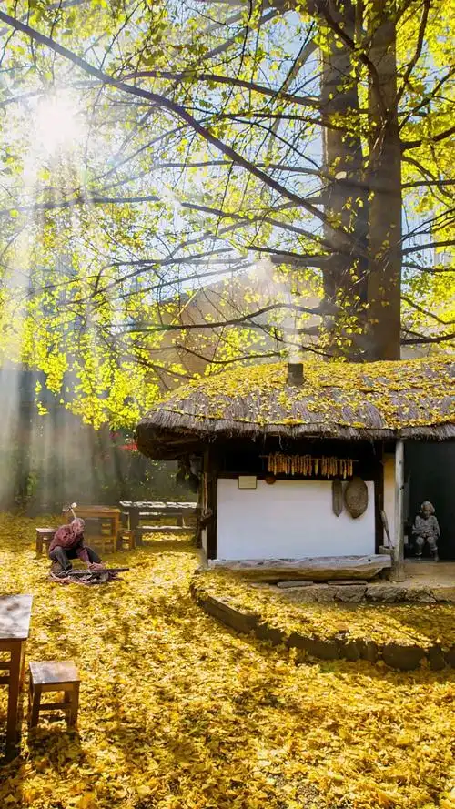 爱吾爱(雅韵文轩)