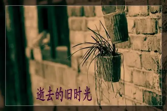 逝水流年散文逝去的旧时光