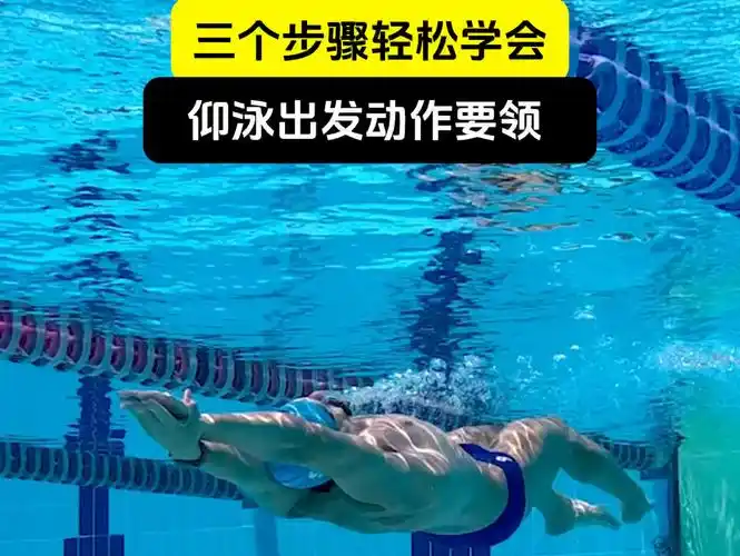 三个步骤轻松学会仰泳出发动作!仰泳初学者教程