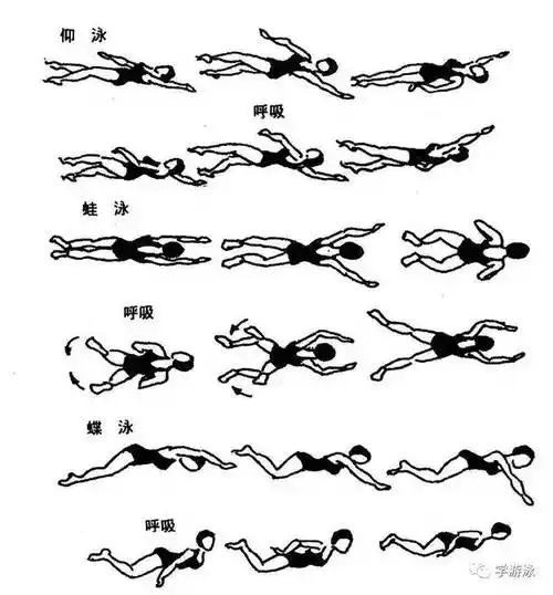 游泳健身方式方法,送给初学者