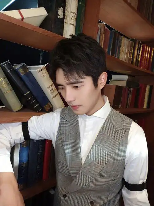 刘昊然vivos10系列代言人