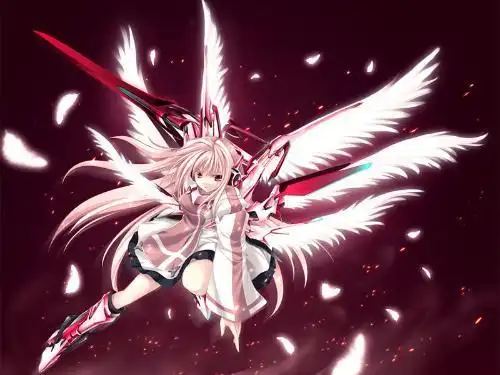 请帮我找 一些这类图片 我要的是动画中的 天使,恶魔带有翅膀带武器