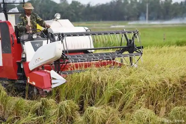 5公斤水稻收割机,江苏锡拖vs久保田,要敢于正面挑战国际巨头
