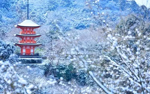 【绝景桌布】日本冬季白雪纷飞中红白交错争艳绝景桌布!|绝景日本