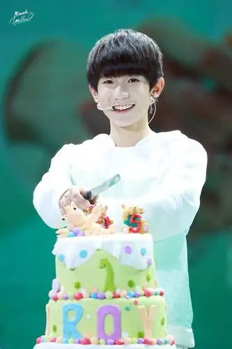 tfboys王源 151108《王源的森林小夜曲》生日会cr:marshmallow1108