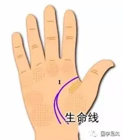手相:生命线详细图解19条
