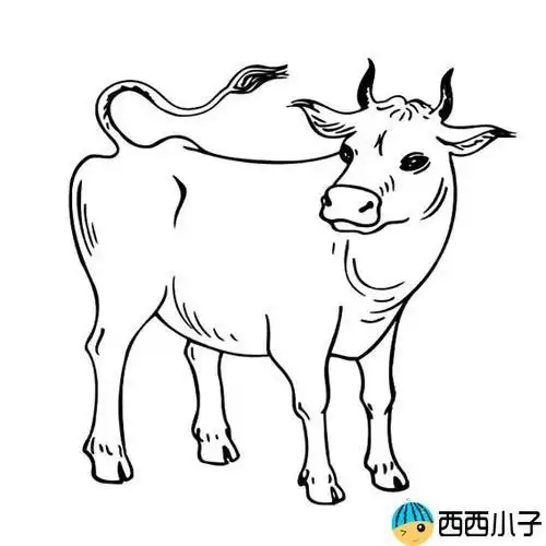 每天学一幅简笔画--水牛的简笔画大全水牛简笔画简笔画 动物简笔画