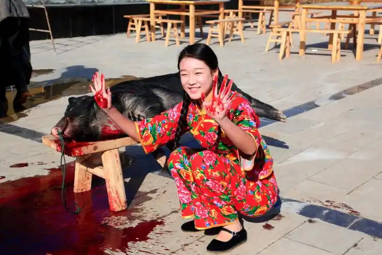 红光玉湖 美女与野兽,请看家乡的杀猪场面(血腥场面,胆小勿入)