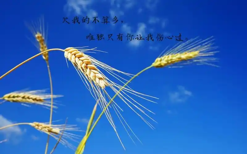 无奈失望的说说带字图片