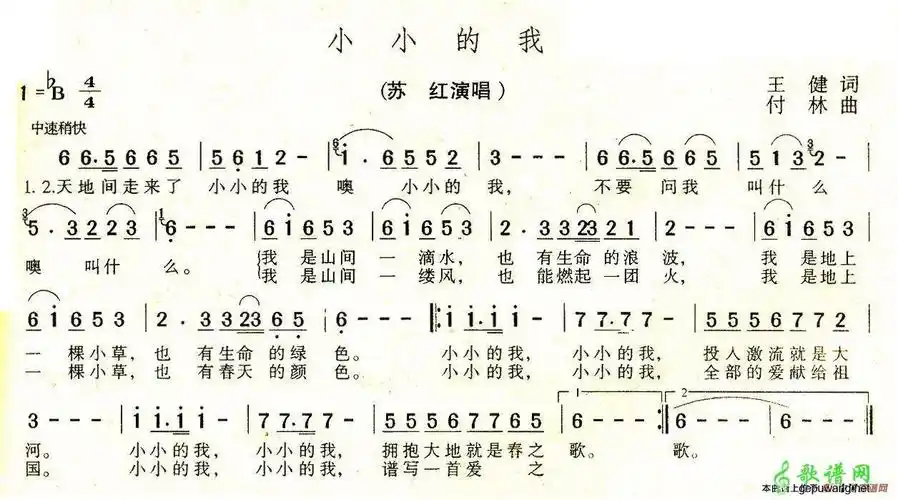 小小的我简谱苏红小小的我简谱