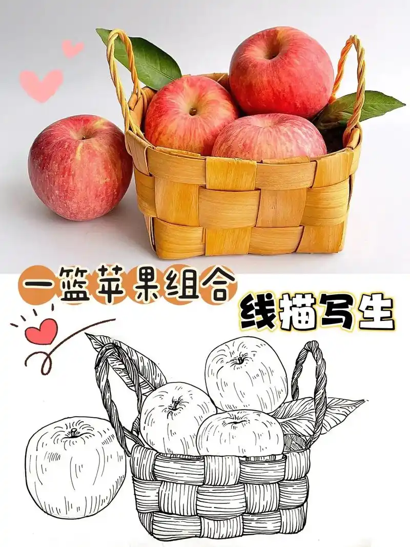 线描写生-一篮苹果绘画过程-可作画画 - 抖音