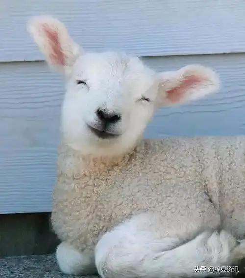 「世界微笑日」你的微笑,是世间最美的风景