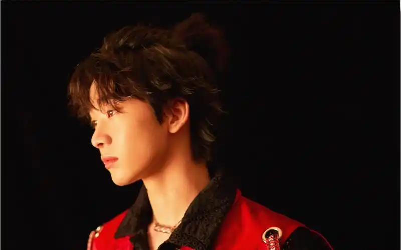 连淮伟星光大赏vibrate 大艺术家消音 消音和没消音没区别!