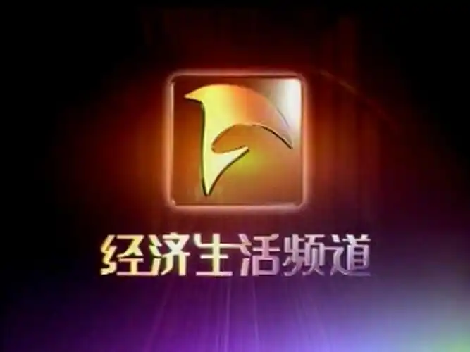 【电视包装欣赏】安徽电视台经济生活频道整体包装(2004版)