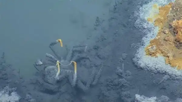 视频:点击盐卤池比周边环境高出3米左右,水从一侧向外流出,形成了一道