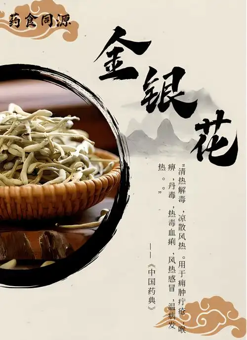 金银花:夏日清凉解暑小能手