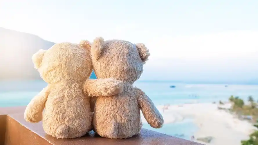 壁纸 两个玩具熊,朋友,后视图