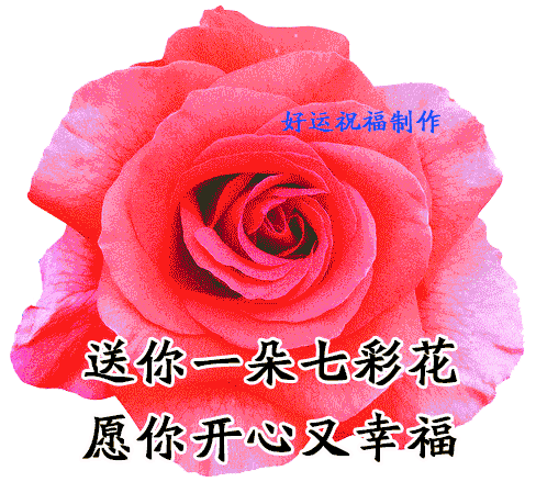 送你一朵七彩花愿你开心又幸福
