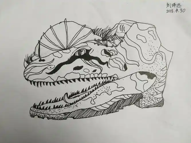 大头鞋创意联想