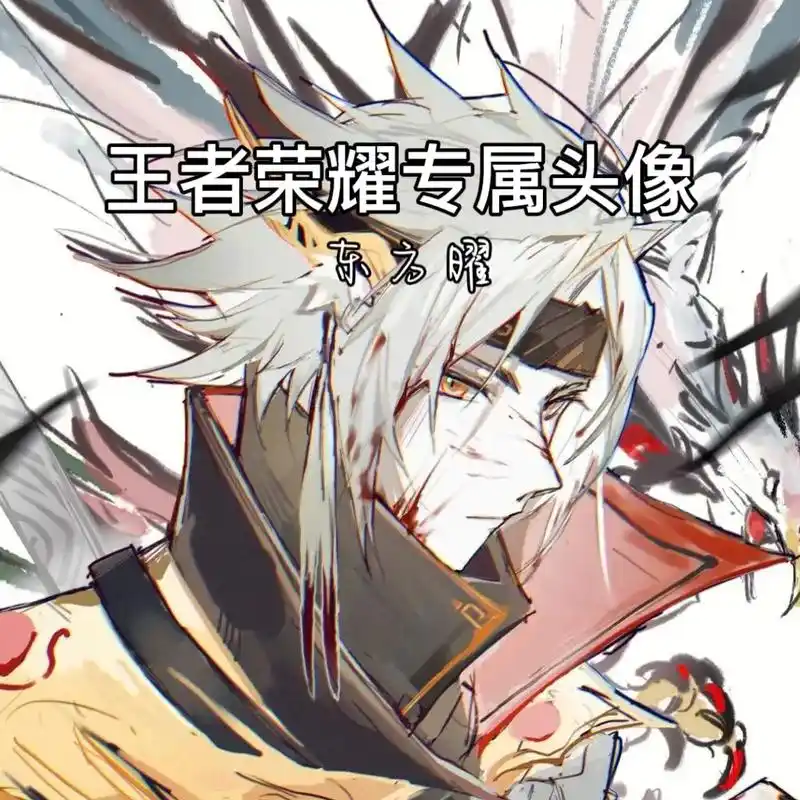 王者头像.#王者头像 #曜#专属头像#优质头像 - 抖音