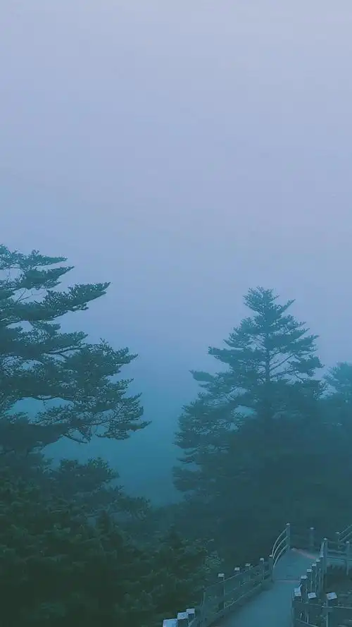 森系唯美自然风光