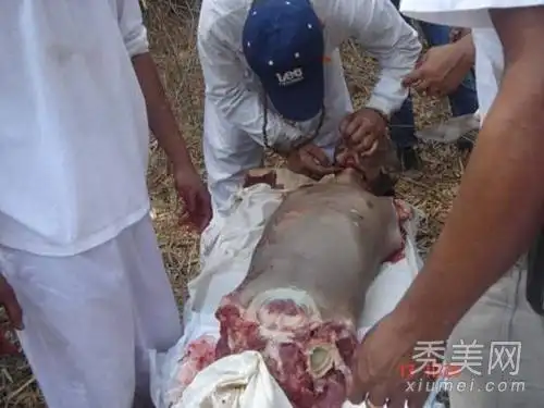 亚博体育在哪里结算