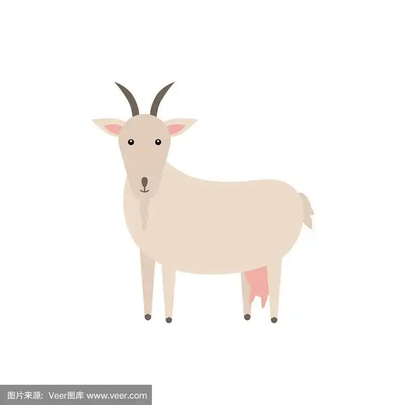 矢量,牲畜,山羊,绘画插图,动画片