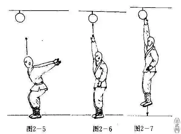 练习摸高有助于长高,而且由于跳跃运动能刺激人体大腿膝盖骨的