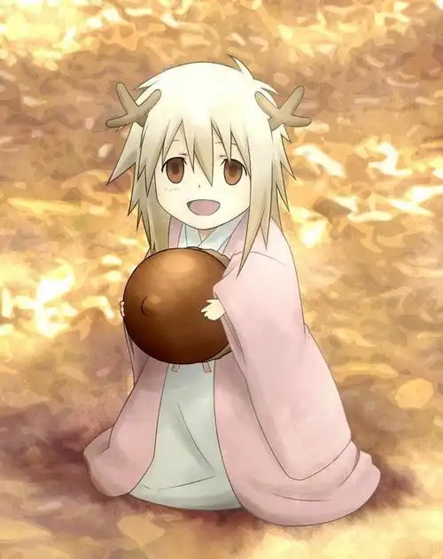 夏目友人帐中最可爱的妖怪top10有你心中的那个妖吗