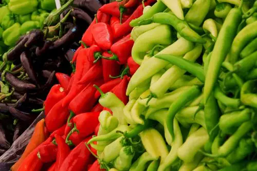 pepper care guide | bath garden center