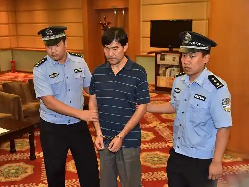 6月8日,孙新被押解回国,并在检方宣读《逮捕决定书》后被戴上手铐.