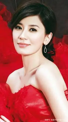 贾静雯精美照片惊艳了时光