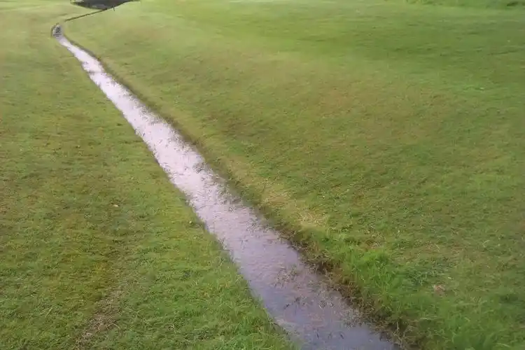 一年之计在于秋抓住深秋草坪养护时机下