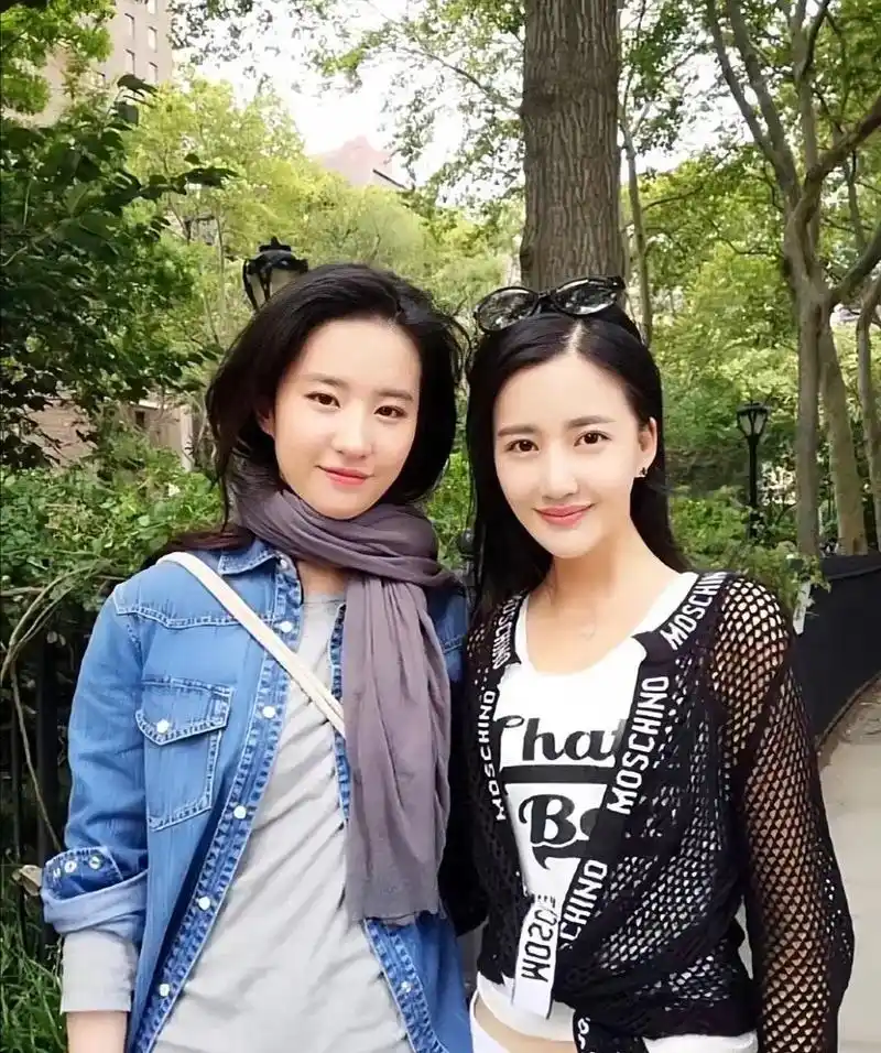 没看过系列之:合照杀手,每一张都很惊艳 #刘亦菲 #生图 - 抖音