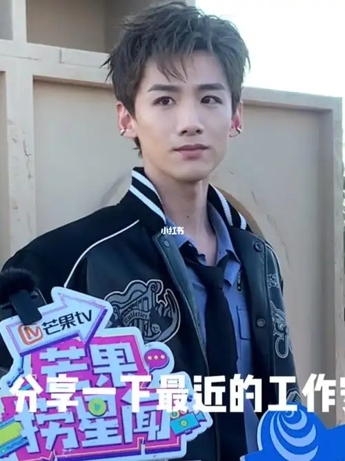 白敬亭阿那亚lv大秀媒体群访