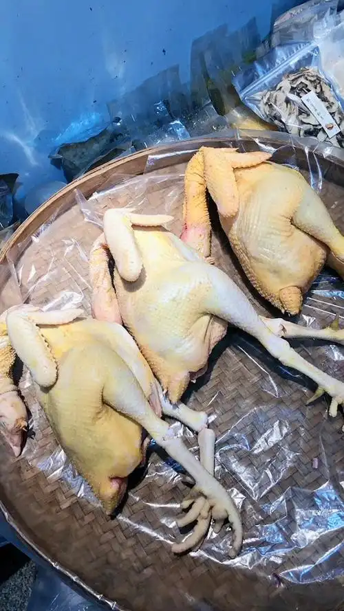 武平名鸡象洞鸡,多一只大公鸡养了两年的.